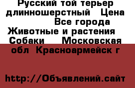 Русский той-терьер длинношерстный › Цена ­ 7 000 - Все города Животные и растения » Собаки   . Московская обл.,Красноармейск г.